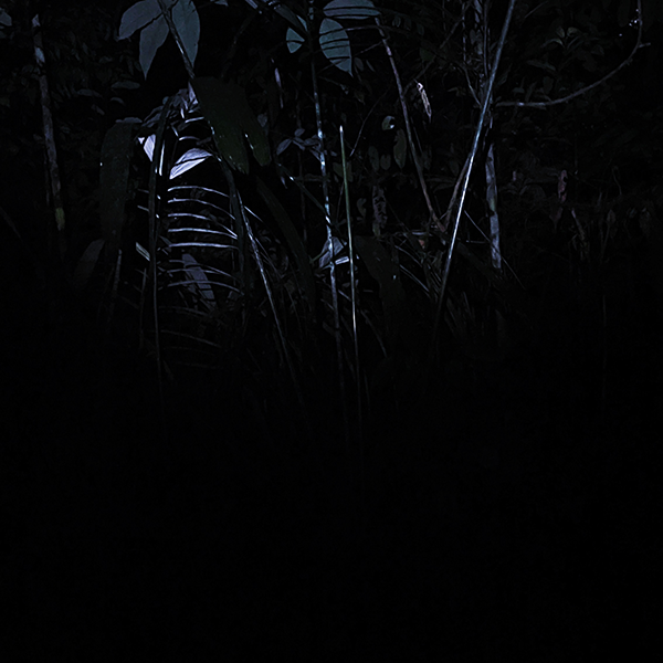 Track 1 Cover