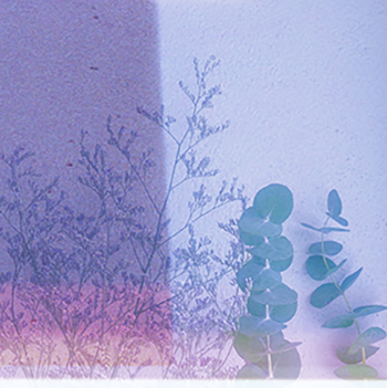 High Resolution Image
